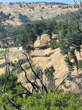 Lower Lake Land with Views