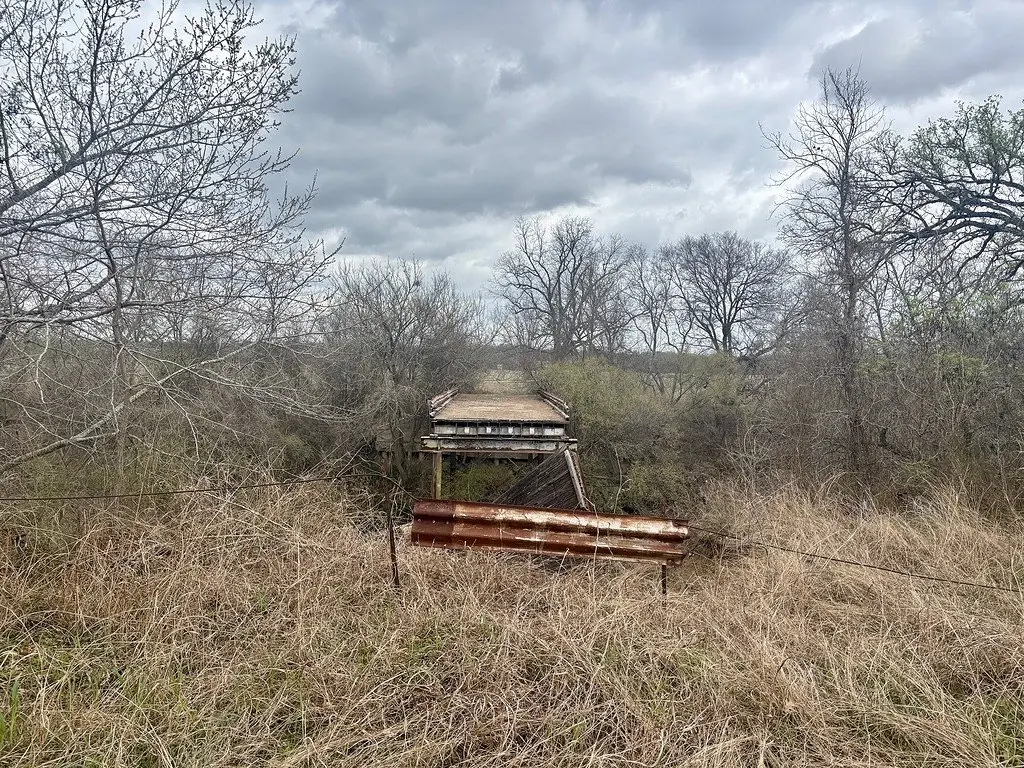 Picture 4