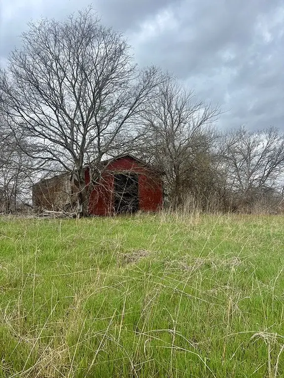 Picture 10