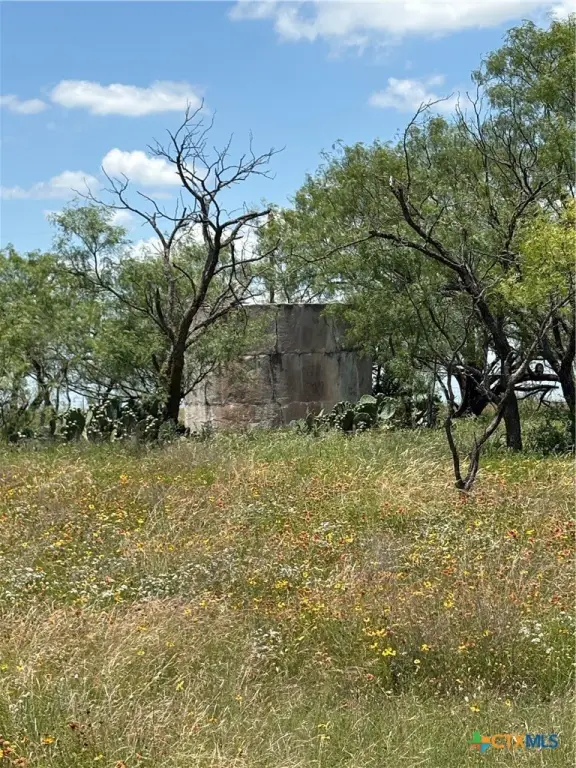 Picture 18