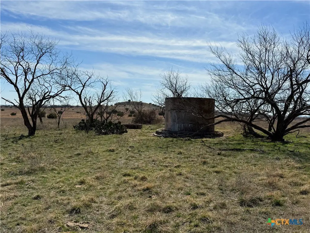 Picture 25