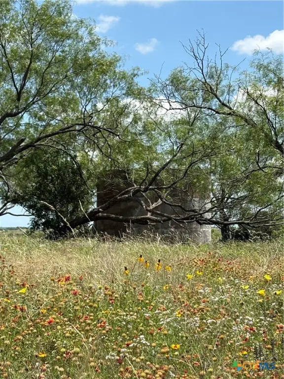 Picture 17