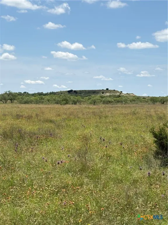 Picture 22