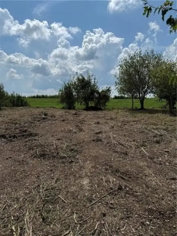 Picture 7