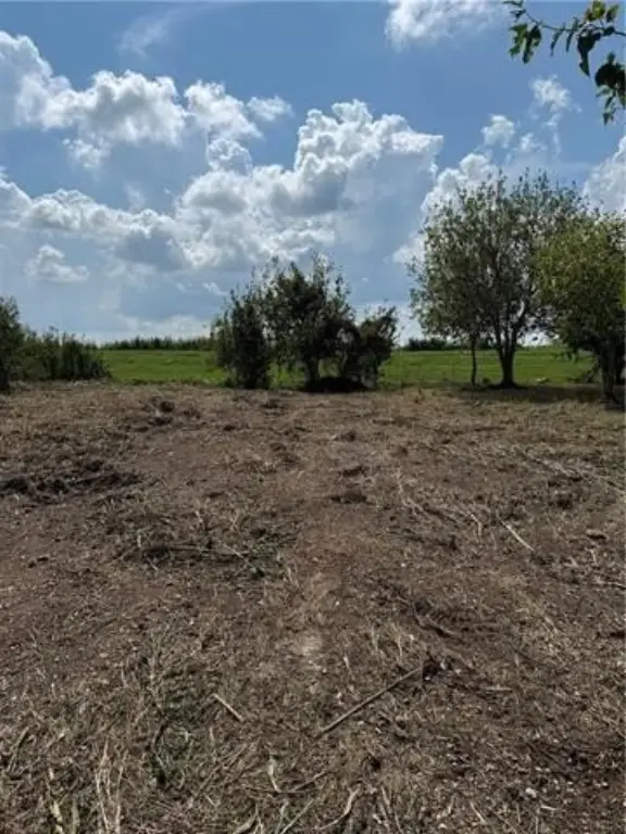 Picture 8