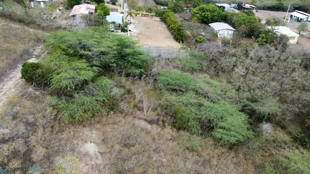 Picture 2