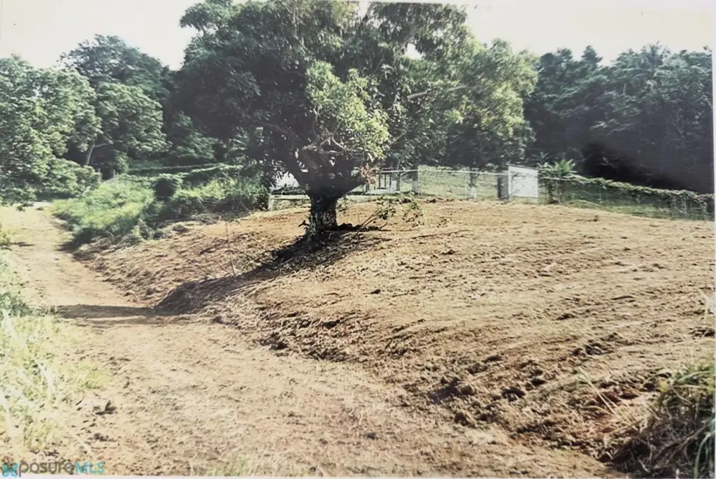 Picture 4