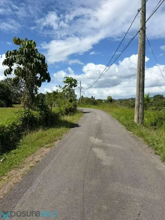 Picture 13