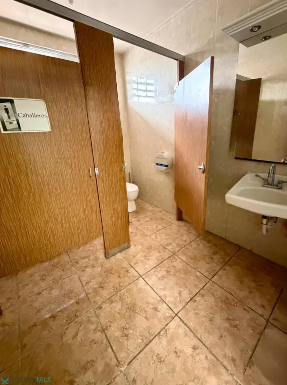 Picture 8