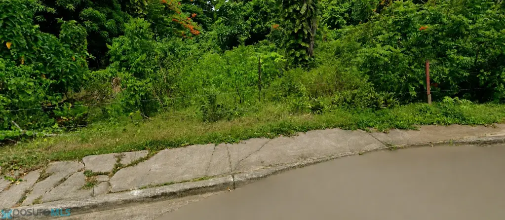 Picture 3