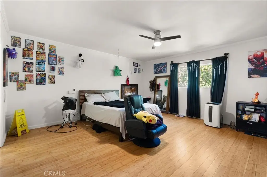 Picture 19