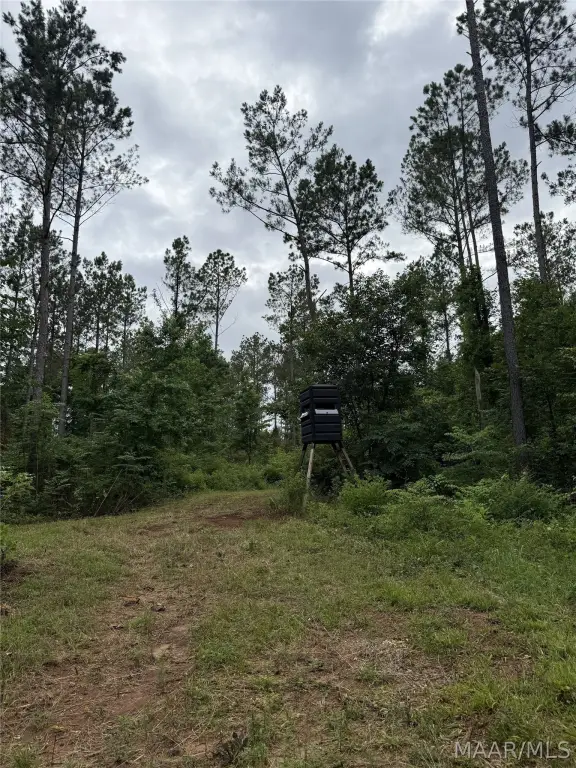 Picture 21