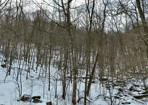 Wooded Land in Mountain Community