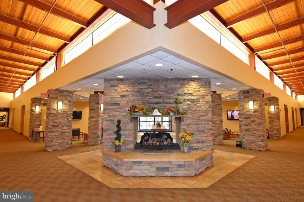 Picture 30