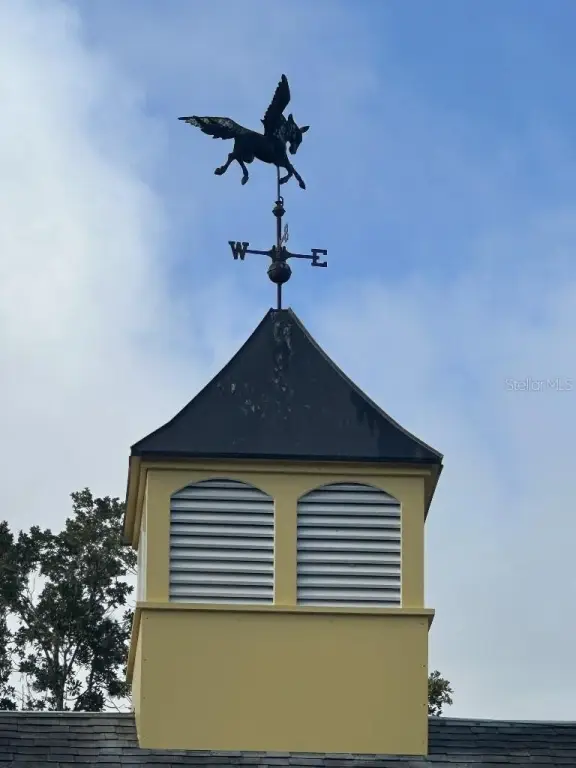 Picture 48