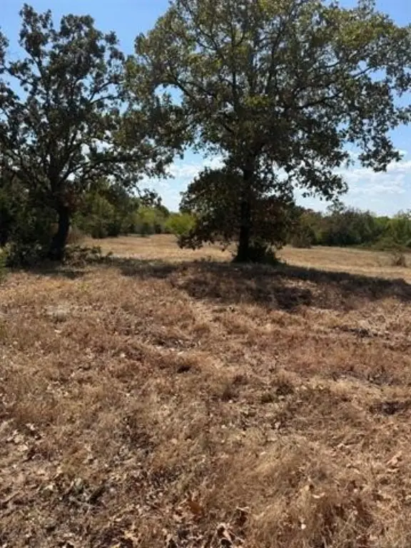 Picture 4