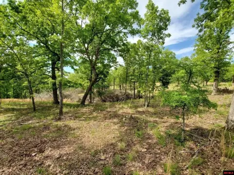 Gepp, AR Wooded Acreage