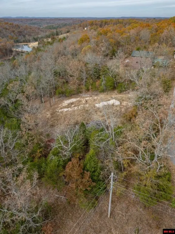 Picture 5