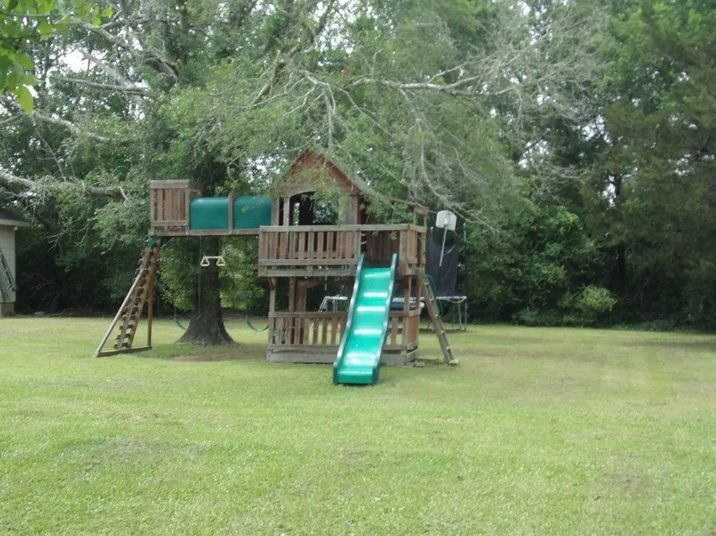 Picture 5