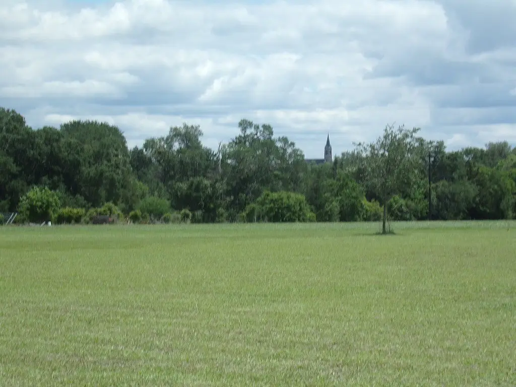 Picture 11
