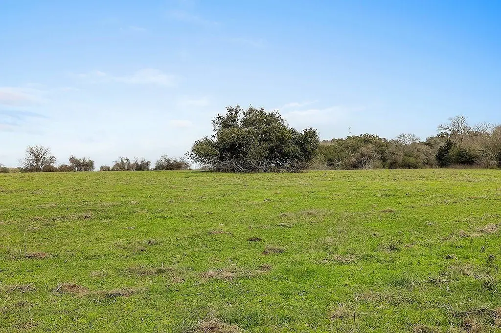 Picture 4