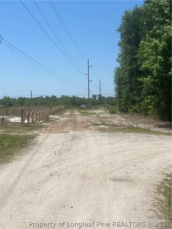 Picture 3