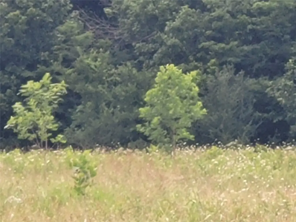 Picture 27