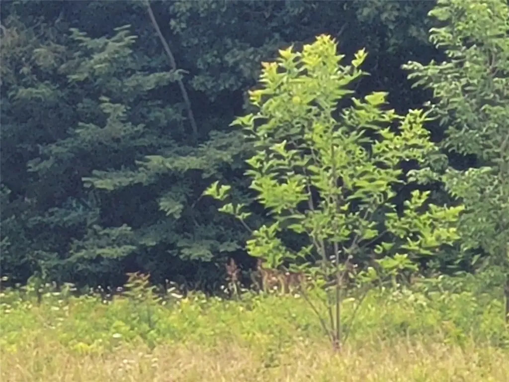 Picture 30