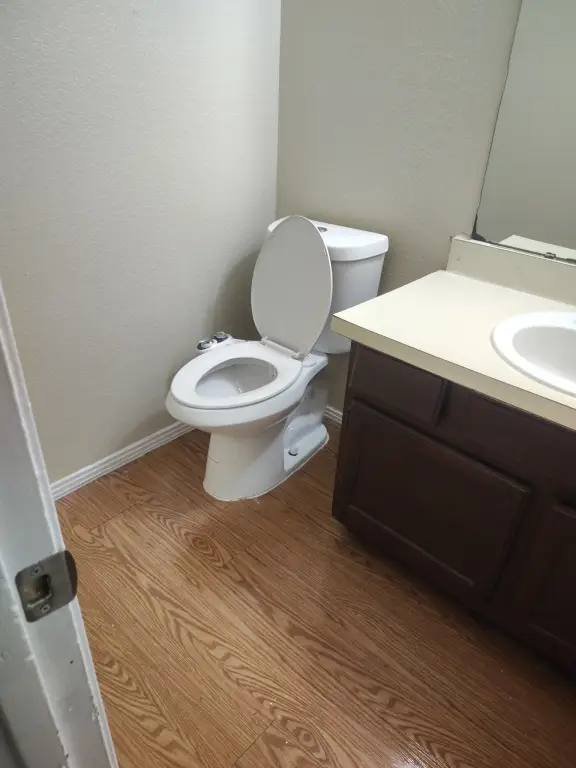 Picture 18