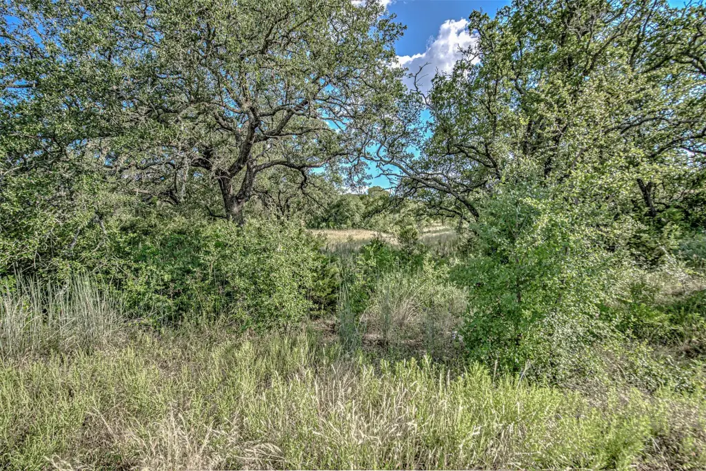 Picture 22