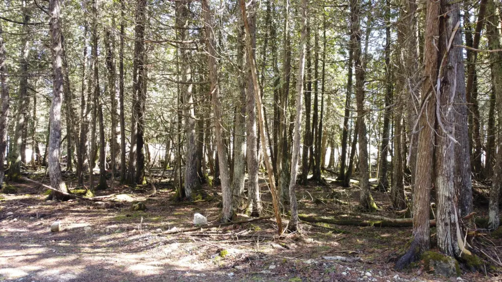 Picture 5
