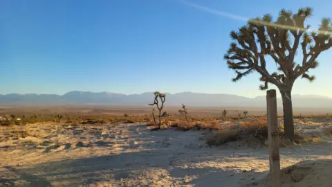 Palmdale Acreage with LCA21 Zoning