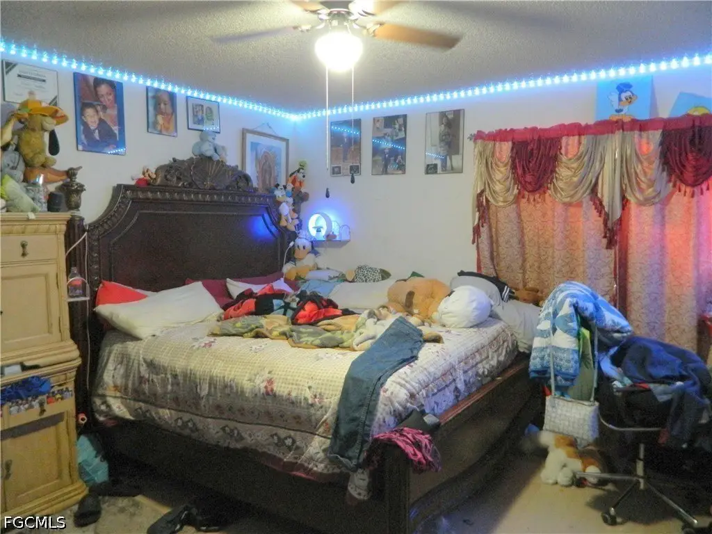 Picture 7