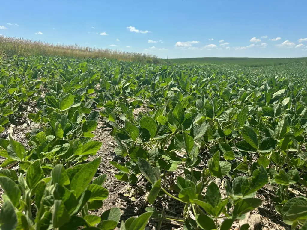 Picture 23