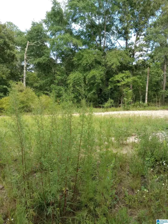 Picture 3