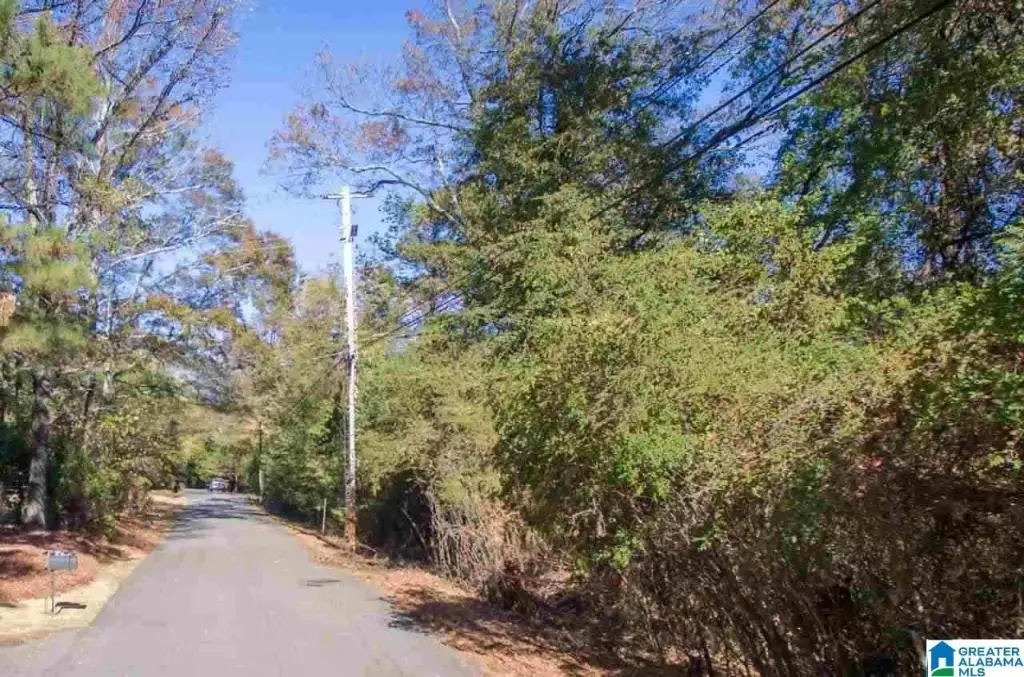 Picture 18