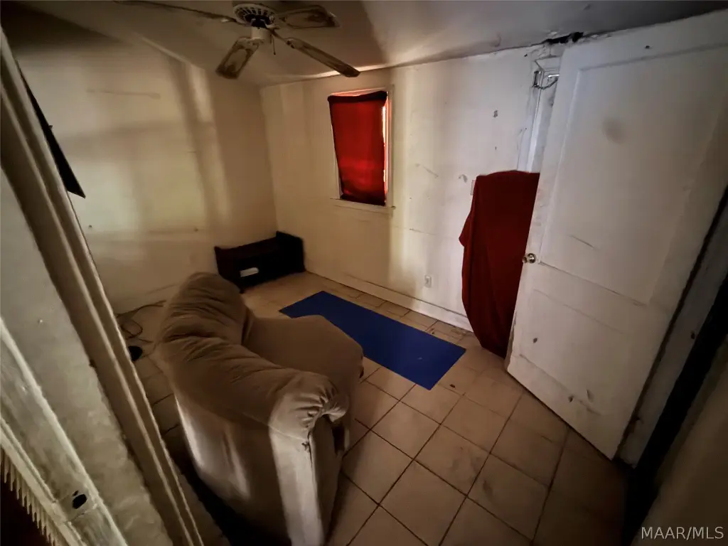 Picture 24