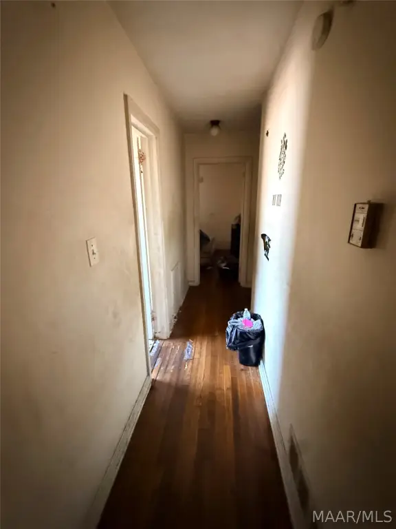 Picture 18