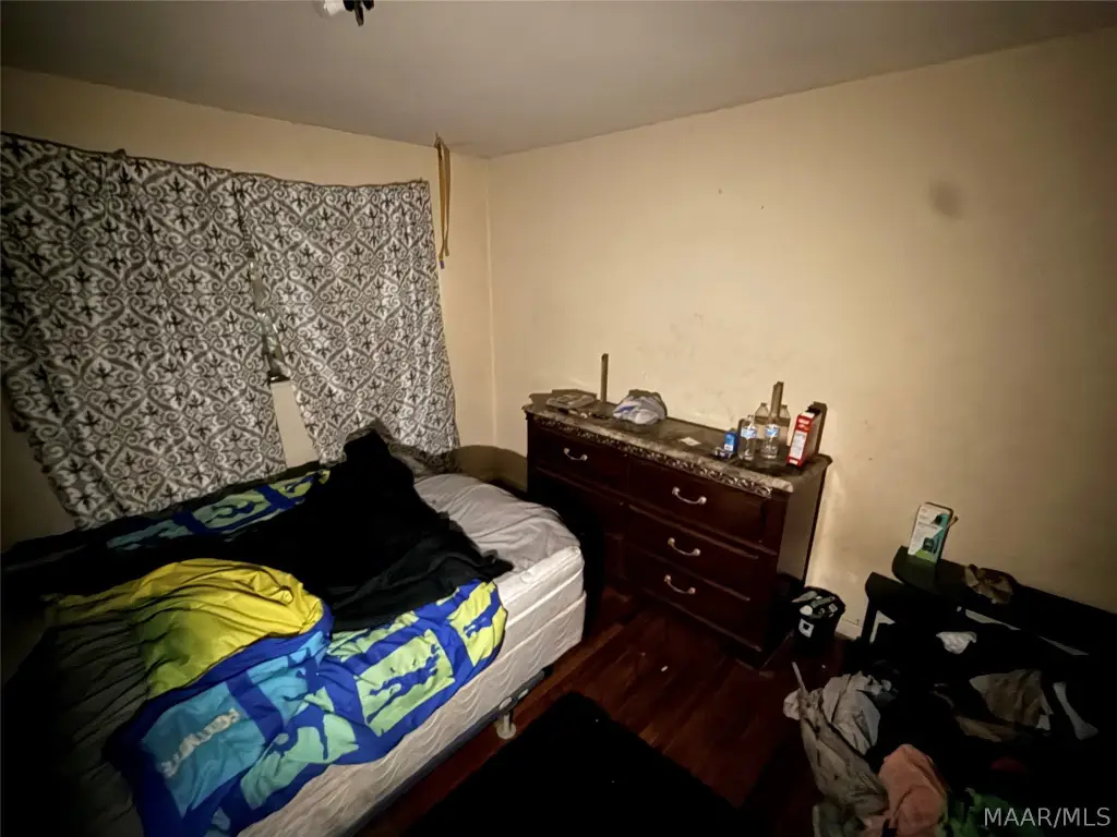 Picture 17