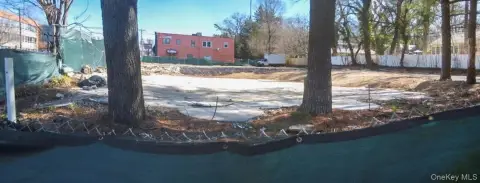 Great Neck Development Opportunity