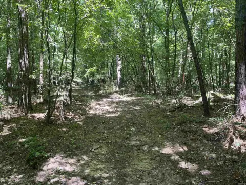 Flat Hunting Land Tract