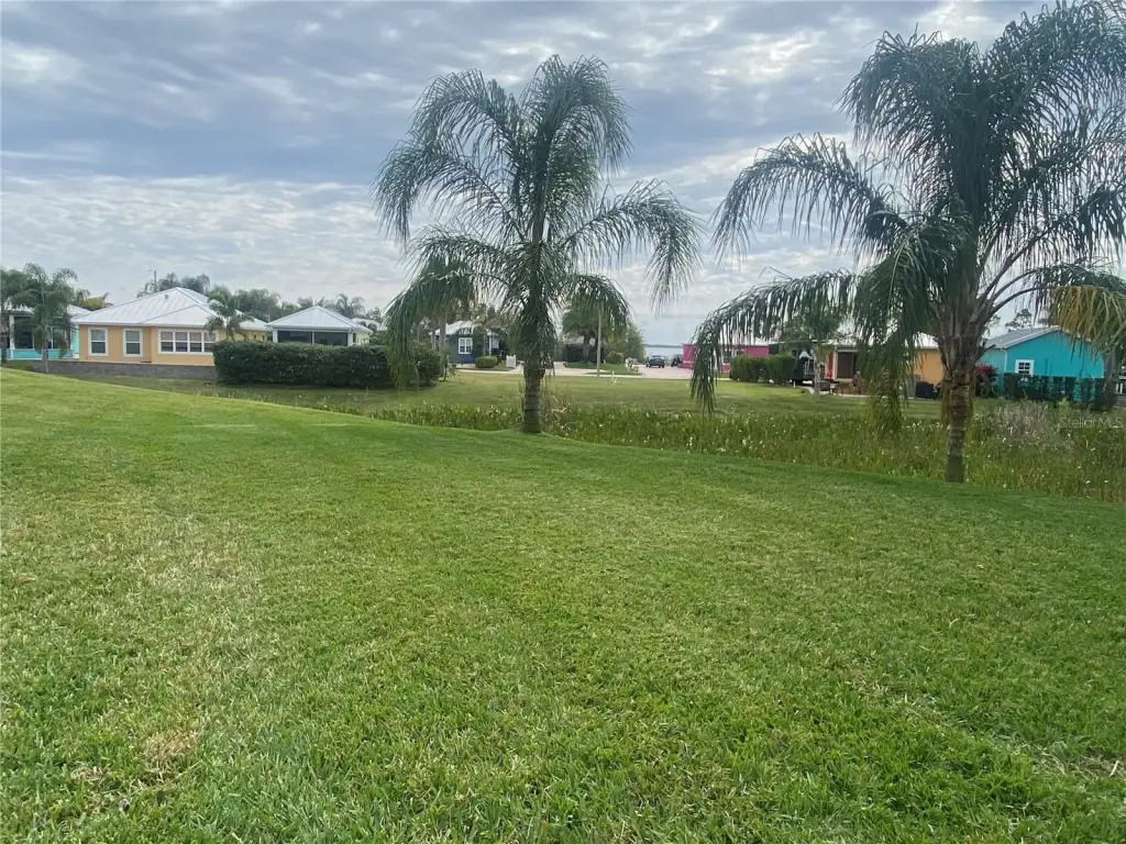 Picture 19