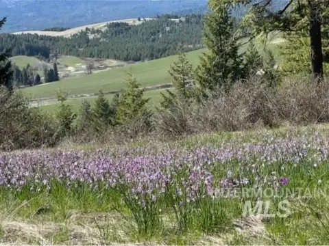 Wooded Land with Meadow and Views