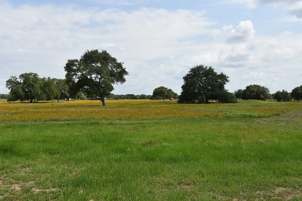 Picture 6