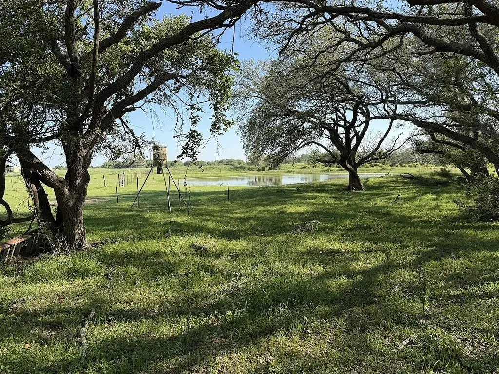 Picture 23