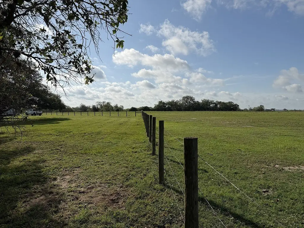 Picture 26