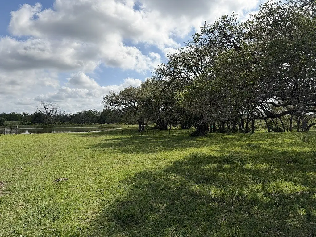 Picture 25