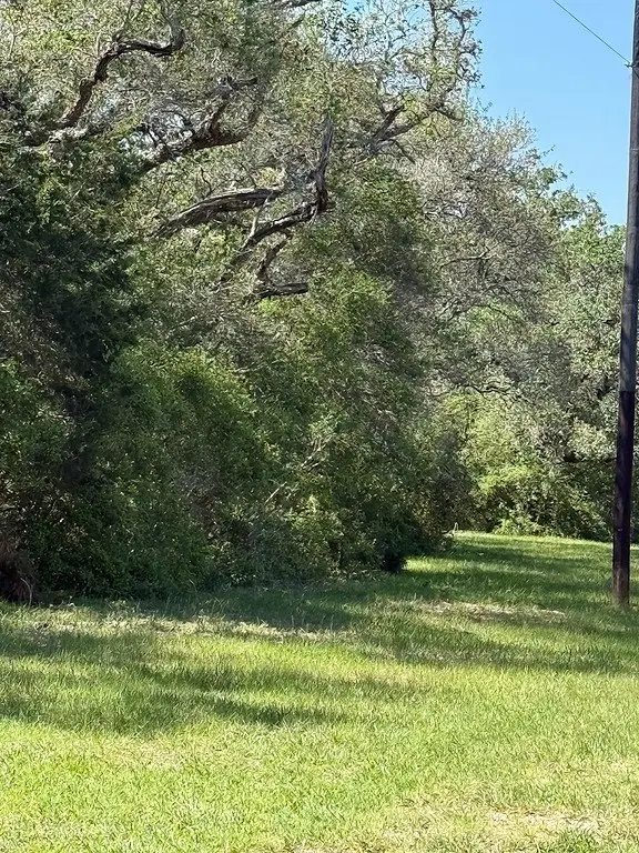 Picture 14