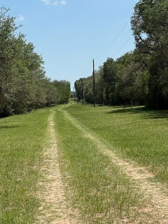 Picture 2