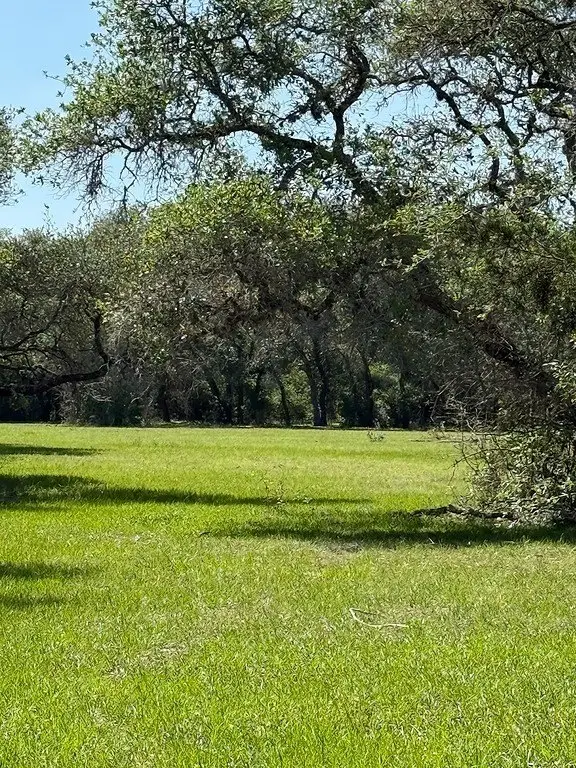 Picture 4